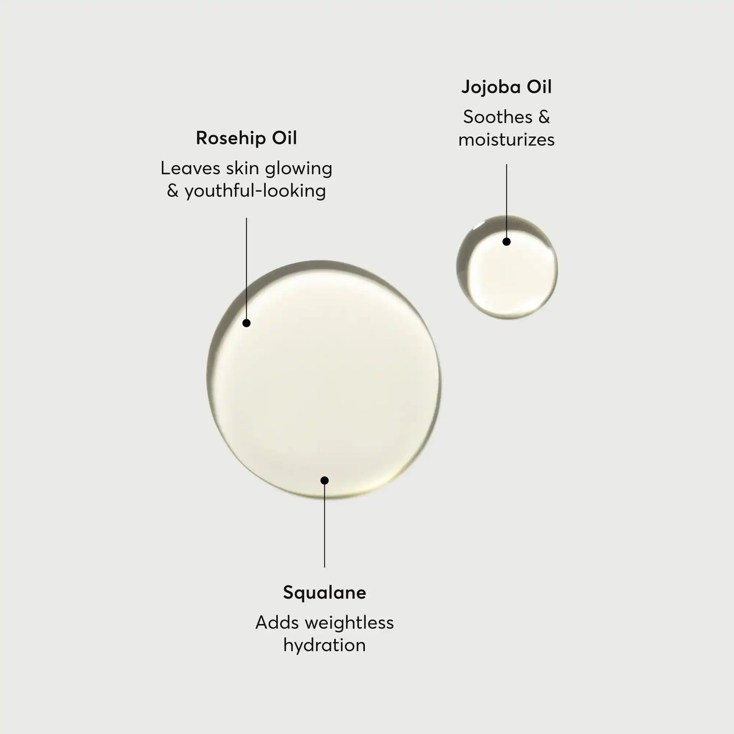 the-glow-getter-body-oil-q2 NATR-10115-Alt-Images-The-Glow-Getter-Body-Oil-01.webp