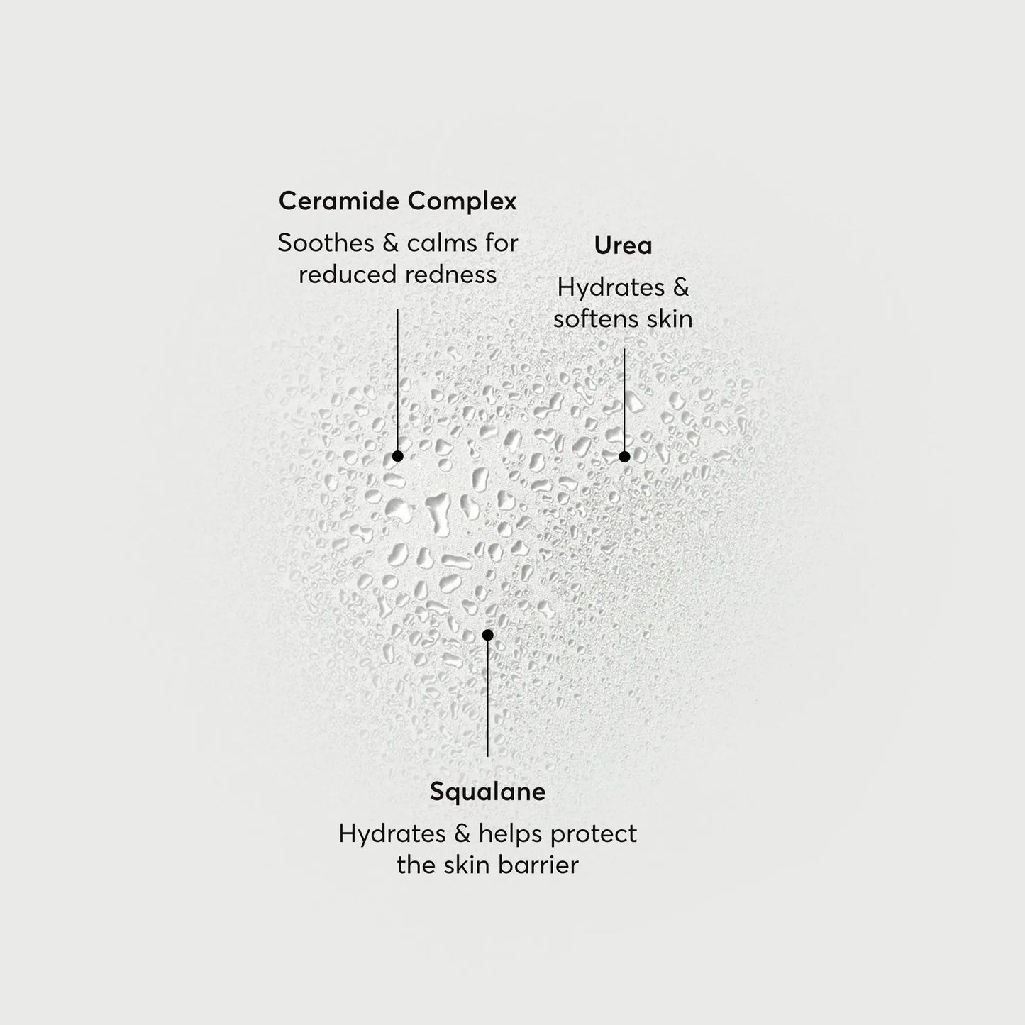 barrier-bounce-bi-phase-mist-v8 NATR-10167-Alt-Images-Barrier-Bounce-Bi-Phase-Toner-Mist_01.webp