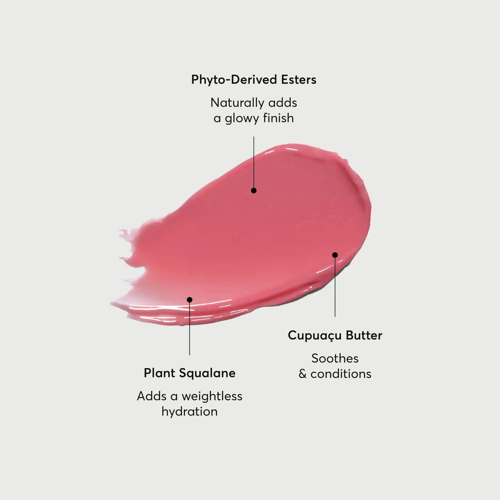 phyto-glow-lip-balm-petal-e6 NATR-60067-Alt-Images-Phyto-Glow-Lip-Balm-Petal-01.webp