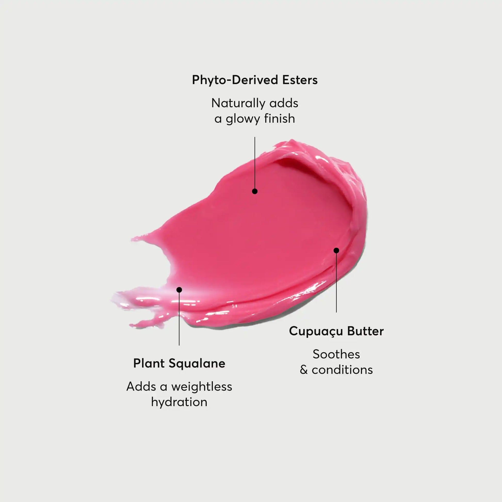 phyto-glow-lip-balm-camellia-l7 NATR-60075-Alt-Images-Phyto-Glow-Lip-Balm-Camellia-01.webp